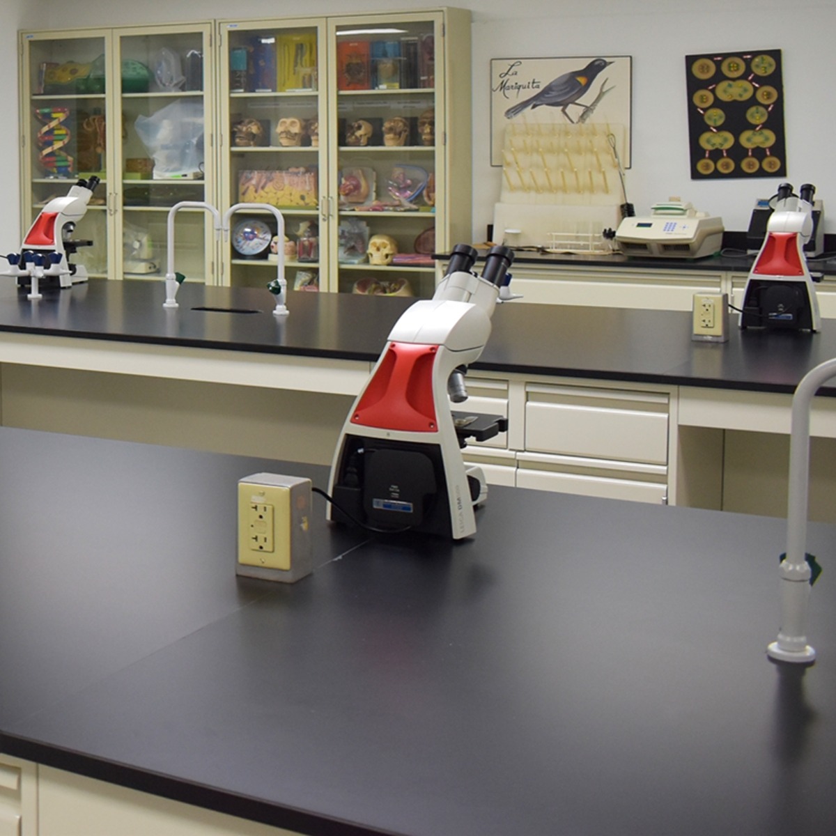 banner ciencias